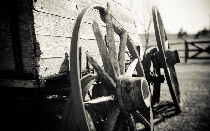 Doliul și pierderea: etapele durerii și când să ceri ajutor profesional